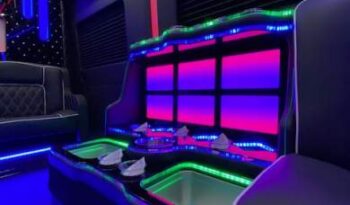 Global Motor Coach Presents this amazing 2020 Ford Transit 14 passenger limo **Taking orders for Spring** full